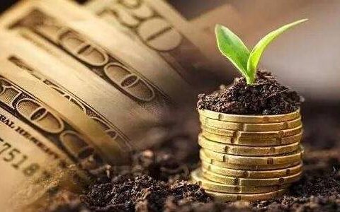 直播可以炒期货么